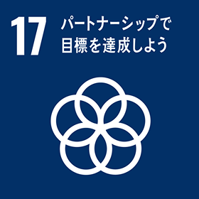 SDGs 目標 17